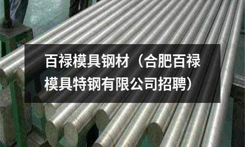 百祿模具鋼材(合肥百祿模具特鋼有限公司招聘)