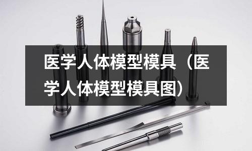 醫學人體模型模具（醫學人體模型模具圖）