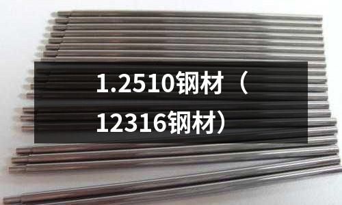 1.2510鋼材（12316鋼材）