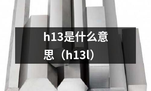 h13是什么意思(h13l)