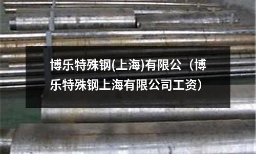 博樂特殊鋼(上海)有限公（博樂特殊鋼上海有限公司工資）