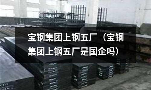 寶鋼集團(tuán)上鋼五廠(chǎng)（寶鋼集團(tuán)上鋼五廠(chǎng)是國(guó)企嗎）