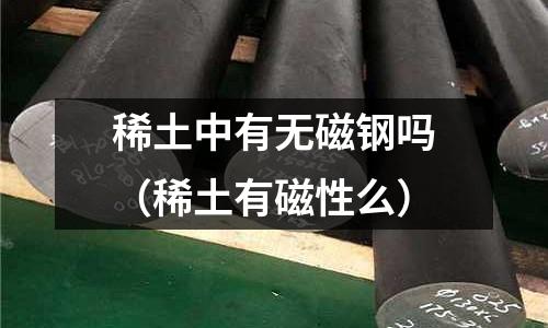 稀土中有無磁鋼嗎（稀土有磁性么）