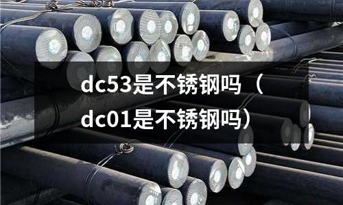 dc53是不銹鋼嗎(dc01是不銹鋼嗎)