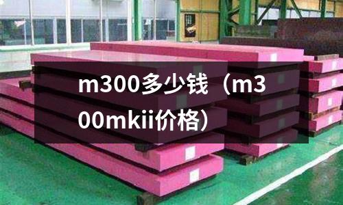 m300多少錢（m300mkii價格）