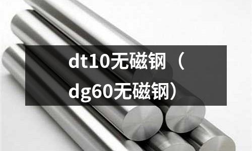 dt10無磁鋼（dg60無磁鋼）