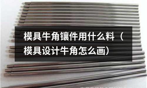 模具牛角鑲件用什么料（模具設計牛角怎么畫）