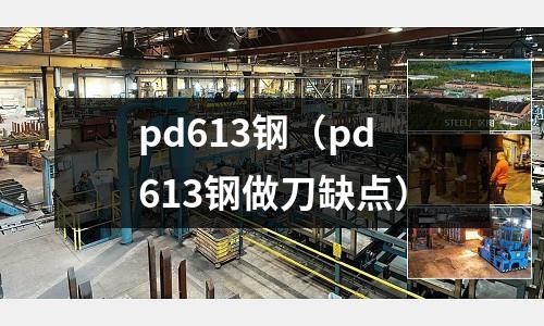 pd613鋼(pd613鋼做刀缺點)