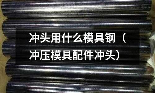 沖頭用什么模具鋼(沖壓模具配件沖頭)