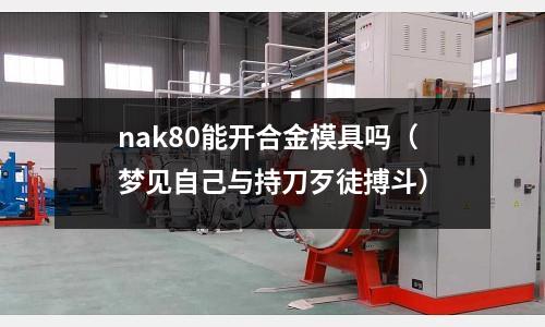 nak80能開合金模具嗎(夢見自己與持刀歹徒搏斗)