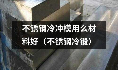 不銹鋼冷沖模用么材料好(不銹鋼冷鍛)