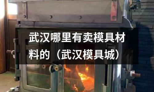 武漢哪里有賣模具材料的(武漢模具城)