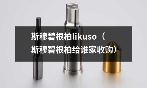 斯穆碧根柏likuso（斯穆碧根柏給誰家收購）