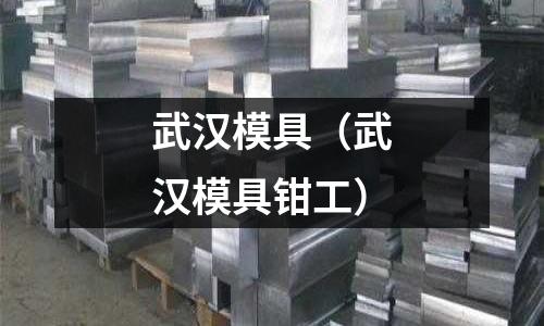 武漢模具(武漢模具鉗工)