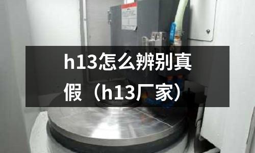 h13怎么辨別真假（h13廠家）