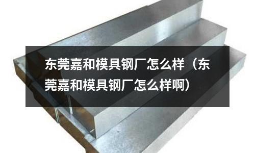 東莞嘉和模具鋼廠怎么樣(東莞嘉和模具鋼廠怎么樣啊)