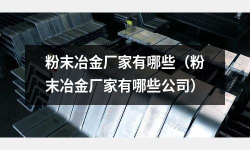 粉末冶金廠家有哪些(粉末冶金廠家有哪些公司)