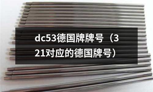 dc53德國牌牌號(hào)(321對(duì)應(yīng)的德國牌號(hào))