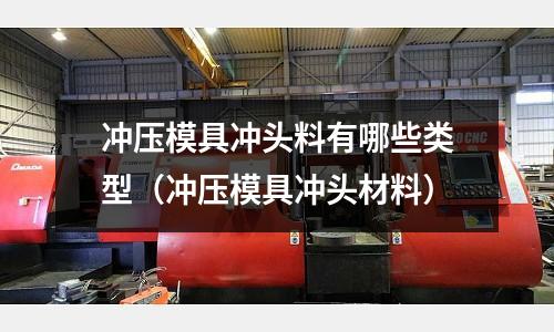 沖壓模具沖頭料有哪些類型（沖壓模具沖頭材料）