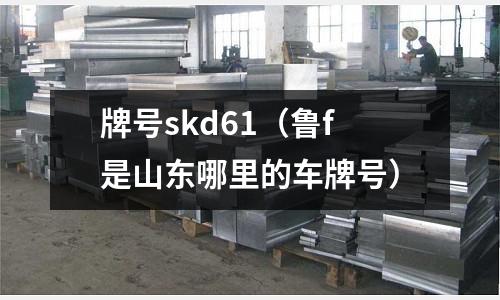 牌號skd61(魯f是山東哪里的車牌號)