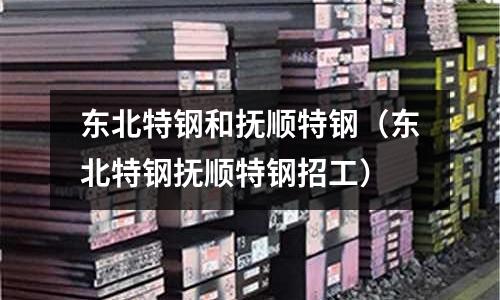 東北特鋼和撫順特鋼(東北特鋼撫順特鋼招工)