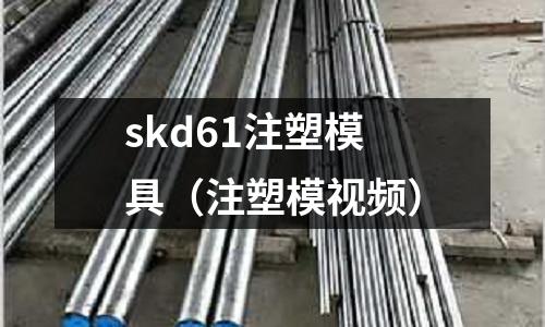 skd61注塑模具(注塑模視頻)