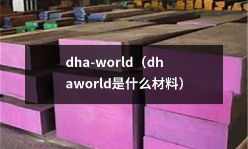 dha-world(dhaworld是什么材料)