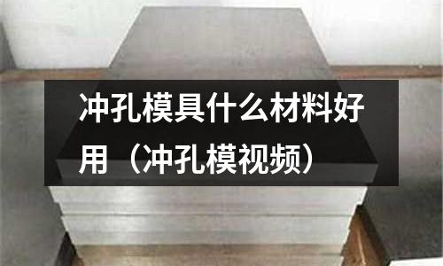 沖孔模具什么材料好用（沖孔模視頻）