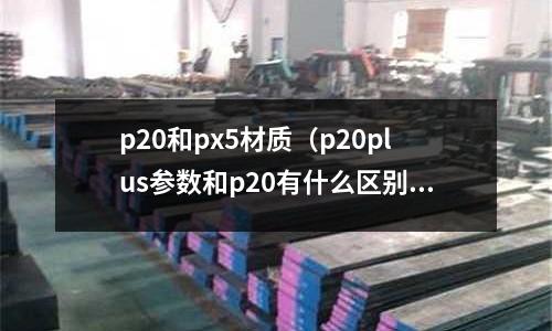 p20和px5材質(zhì)(p20plus參數(shù)和p20有什么區(qū)別)