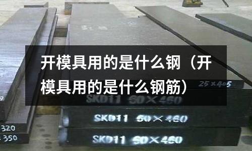 開模具用的是什么鋼(開模具用的是什么鋼筋)