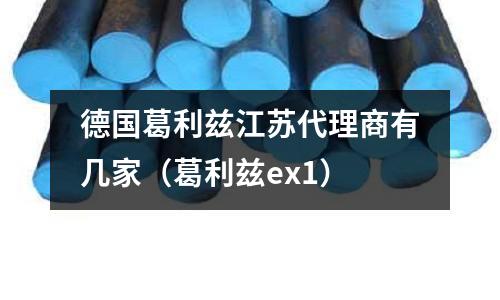 德國葛利茲江蘇代理商有幾家(葛利茲ex1)