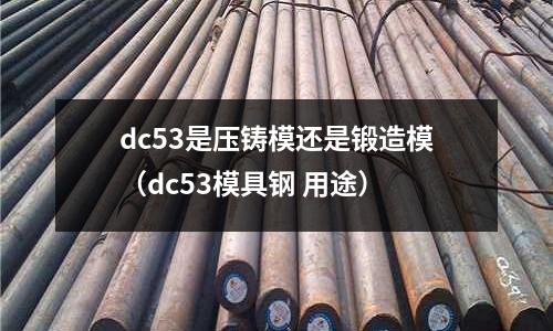 dc53是壓鑄模還是鍛造模（dc53模具鋼 用途）