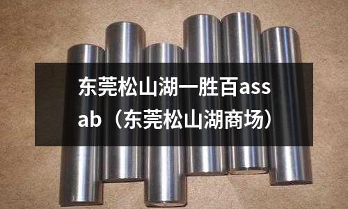 東莞松山湖一勝百assab(東莞松山湖商場)