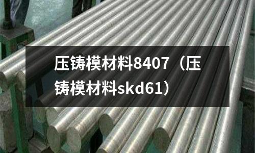 壓鑄模材料8407(壓鑄模材料skd61)