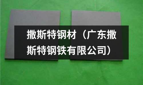 撒斯特鋼材（廣東撒斯特鋼鐵有限公司）