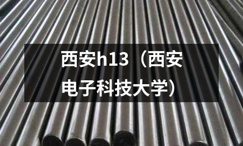 西安h13（西安電子科技大學）