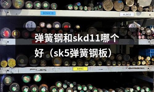 彈簧鋼和skd11哪個好（sk5彈簧鋼板）