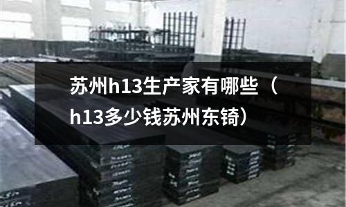 蘇州h13生產家有哪些(h13多少錢蘇州東锜)