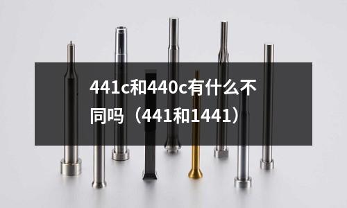 441c和440c有什么不同嗎(441和1441)