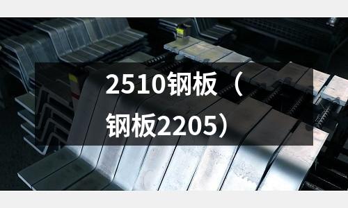 2510鋼板（鋼板2205）
