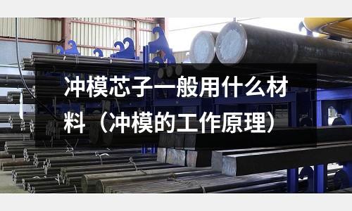 沖模芯子一般用什么材料（沖模的工作原理）