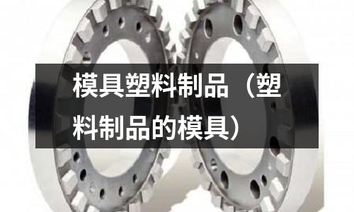模具塑料制品（塑料制品的模具）