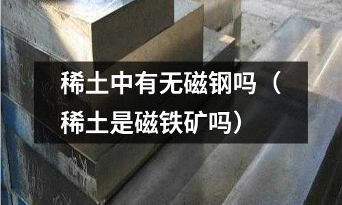 稀土中有無磁鋼嗎（稀土是磁鐵礦嗎）