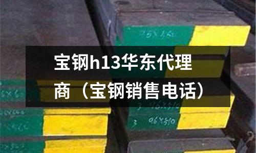 寶鋼h13華東代理商(寶鋼銷售電話)