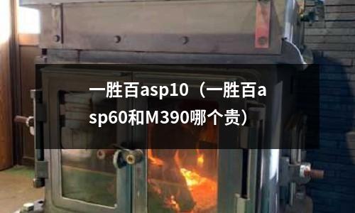 一勝百asp10（一勝百asp60和M390哪個貴）