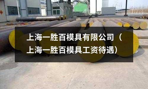 上海一勝百模具有限公司（上海一勝百模具工資待遇）
