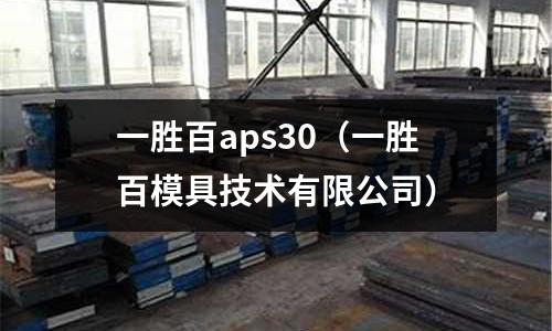 一勝百aps30(一勝百模具技術(shù)有限公司)