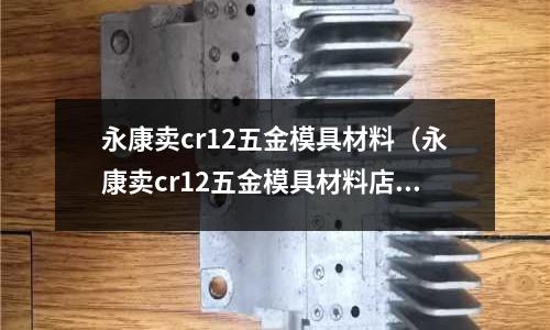 永康賣cr12五金模具材料（永康賣cr12五金模具材料店）