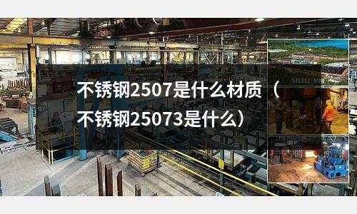 不銹鋼2507是什么材質(zhì)（不銹鋼25073是什么）