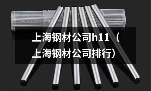 上海鋼材公司h11(上海鋼材公司排行)